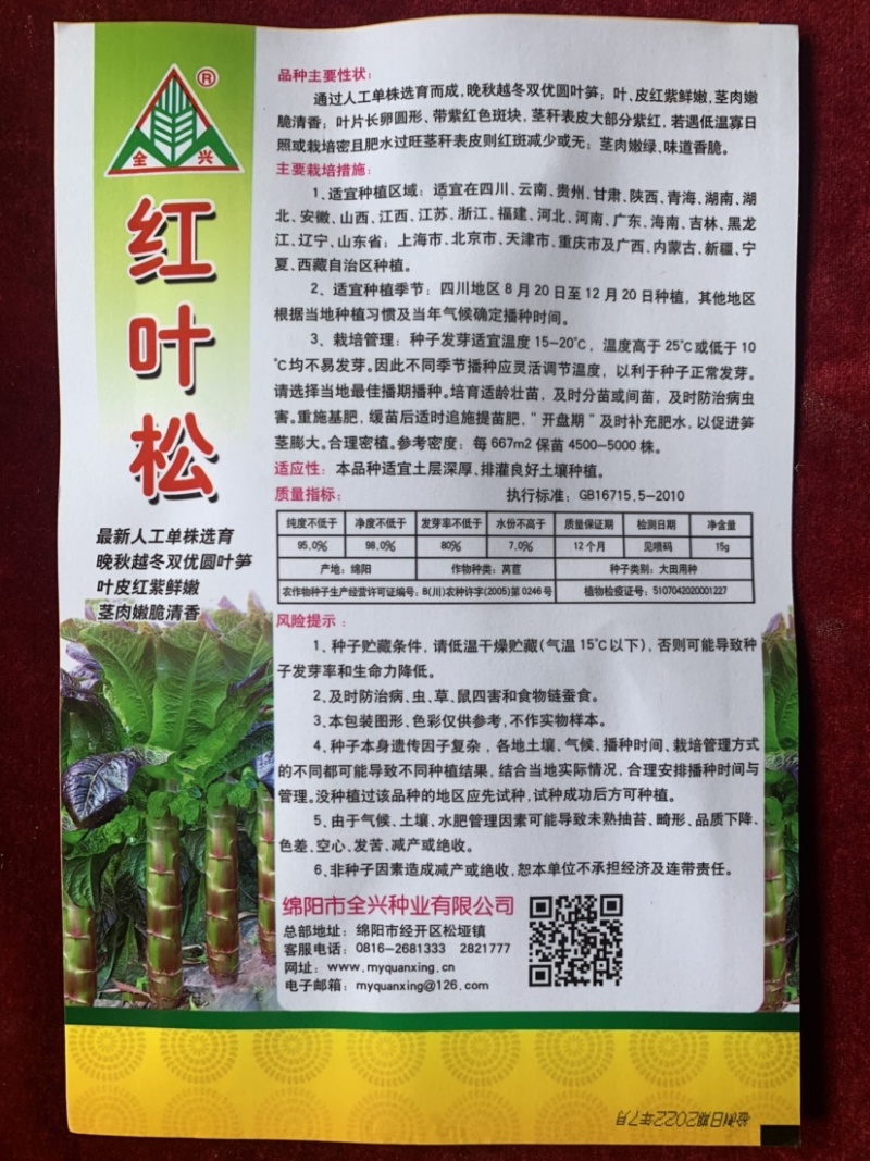 晚秋越冬双优圆叶笋，叶、皮红紫鲜嫩、茎肉嫩脆清香