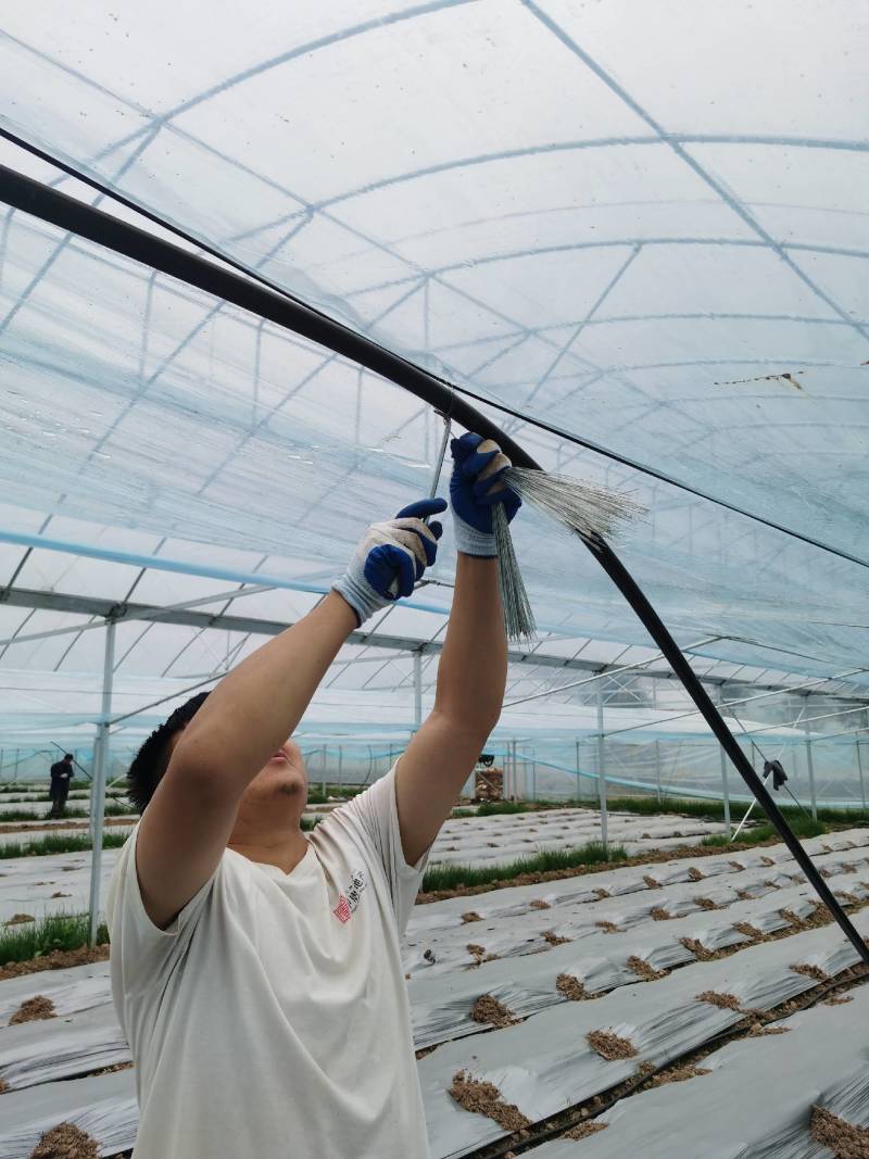折射吊挂微喷止滴器喷幅2-3米雾化好质量保证欢迎咨询！