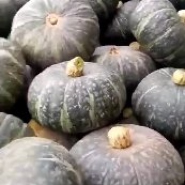 板栗南瓜