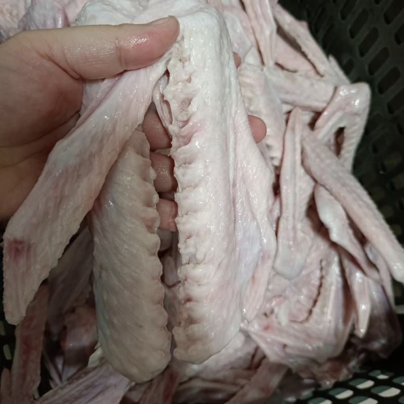 鹅翅正宗广东清远黑棕鹅的鹅翅40斤起发送