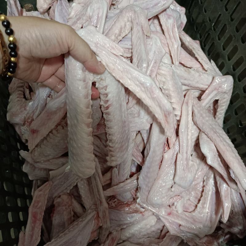 鹅翅正宗广东清远黑棕鹅的鹅翅40斤起发送