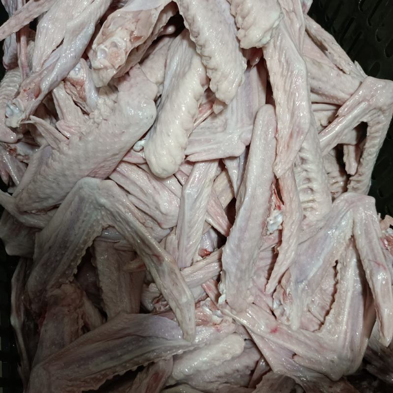 鹅翅正宗广东清远黑棕鹅的鹅翅40斤起发送