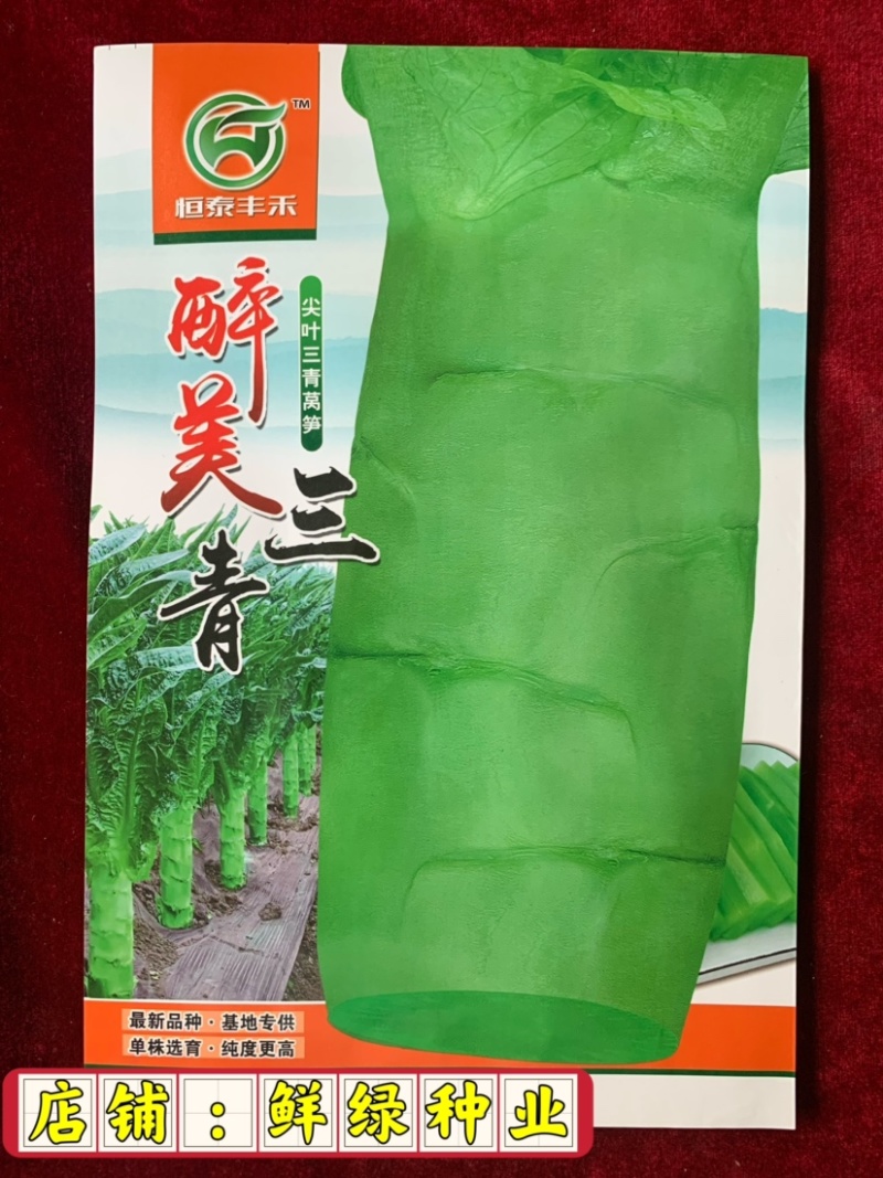三青型尖叶莴笋、单株选育茎皮绿色肉翠绿、商品性佳、产量高