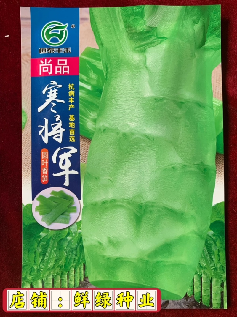 圆叶香笋抗病丰产、口感细嫩、风味佳、净菜率高