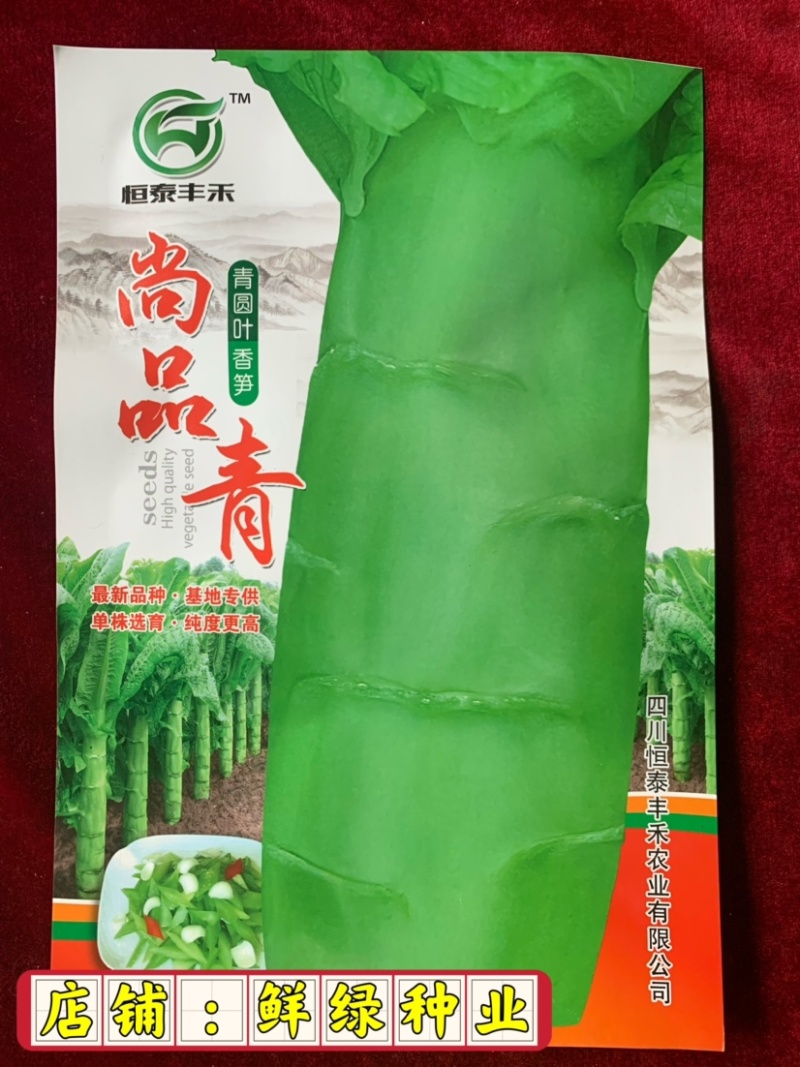 叶皮肉嫩绿圆叶香莴笋尚品青，株型紧凑，秋冬春三优