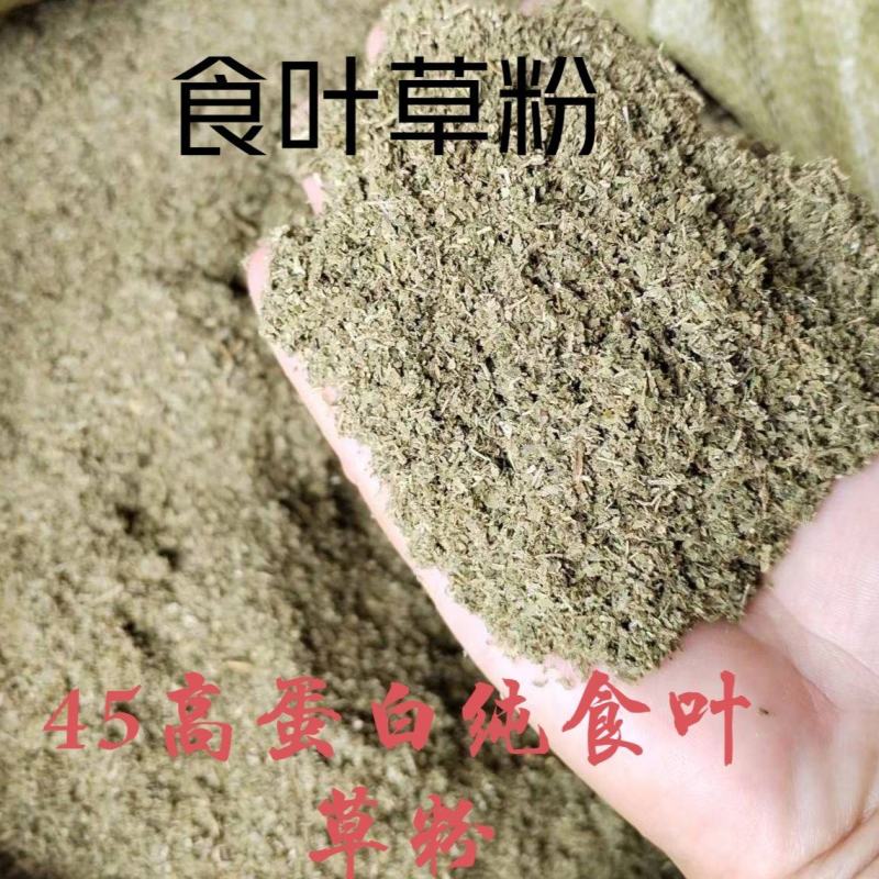 食叶草饲料级粉蛋白质45十八种氨基酸高钙七十多种微量元素