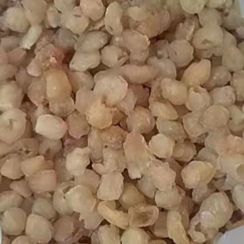 博白桂圆