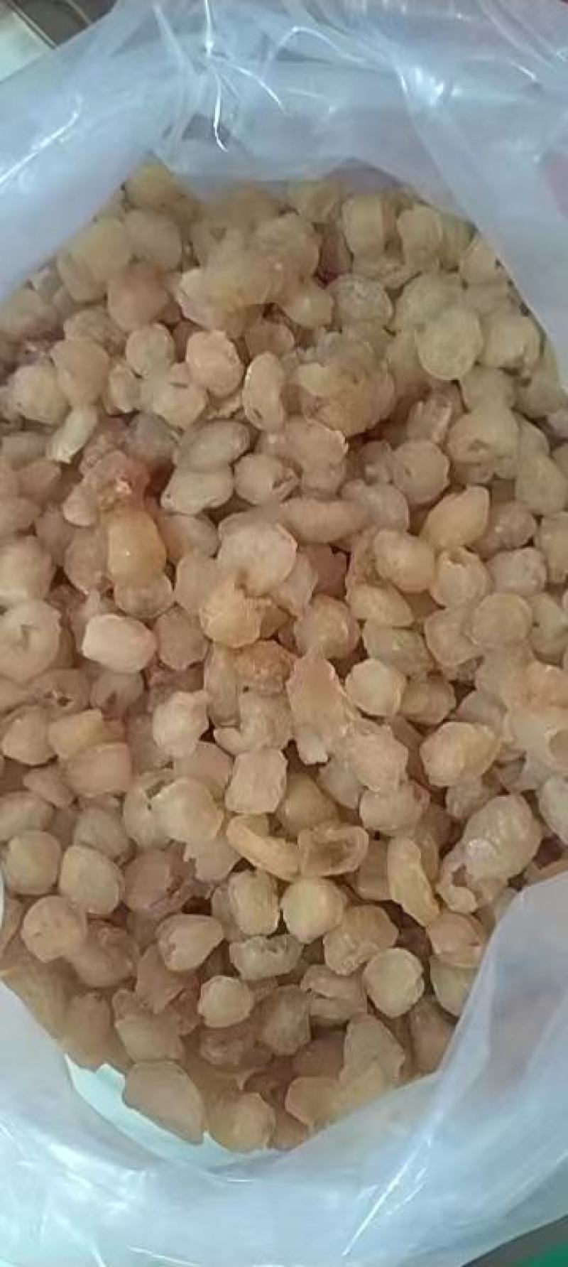 博白桂圆