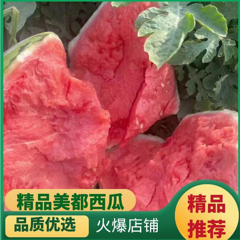 【美都】美都西瓜口感甜汁水多包甜包鲜全国供应
