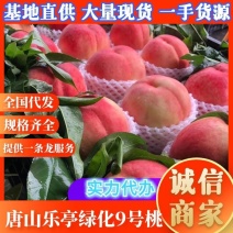 河北唐山优质毛桃绿化久毛桃，水蜜桃绿化9号桃久保芽变桃货