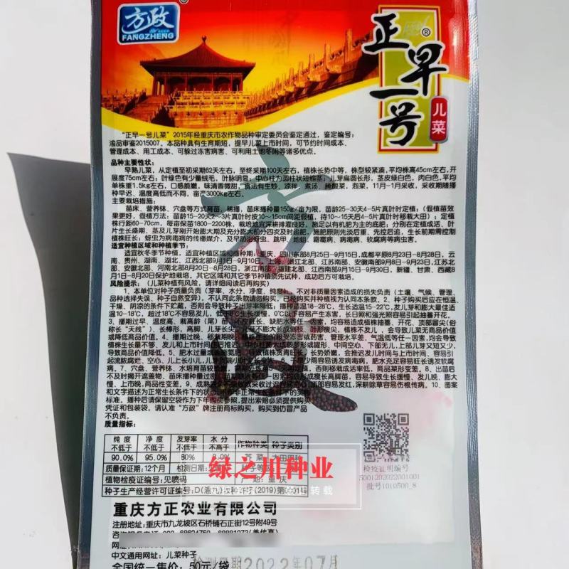 方政正早一号儿菜种子早熟儿菜品种基地专用儿菜种子芥菜