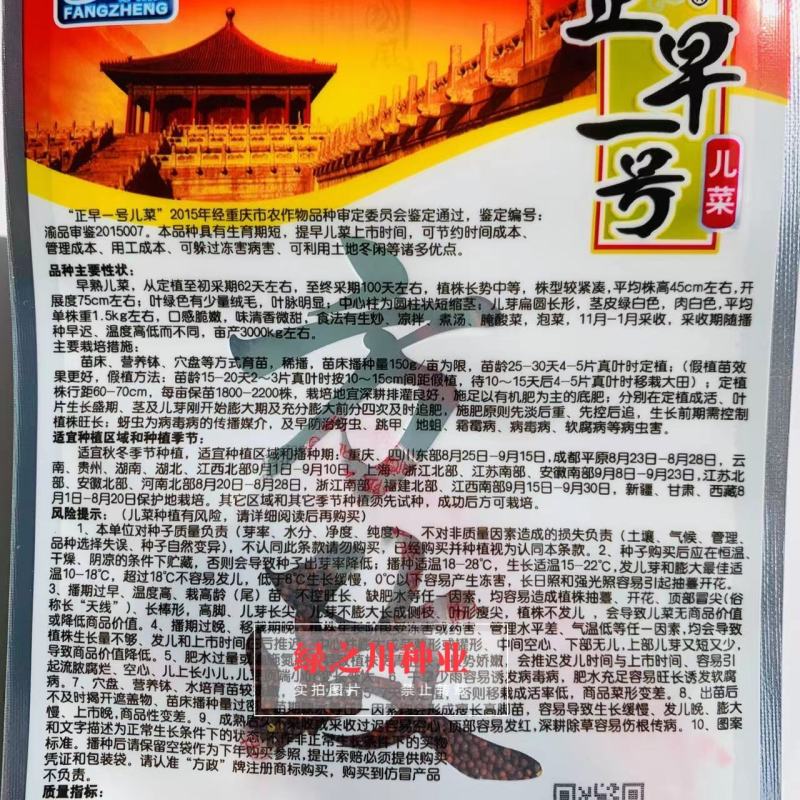 方政正早一号儿菜种子早熟儿菜品种基地专用儿菜种子芥菜