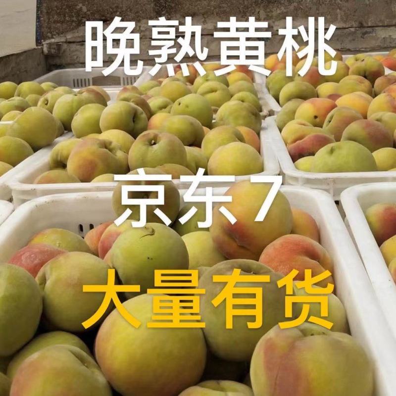 黄毛桃京东7黄毛桃做罐头专用，毛桃大量上市了