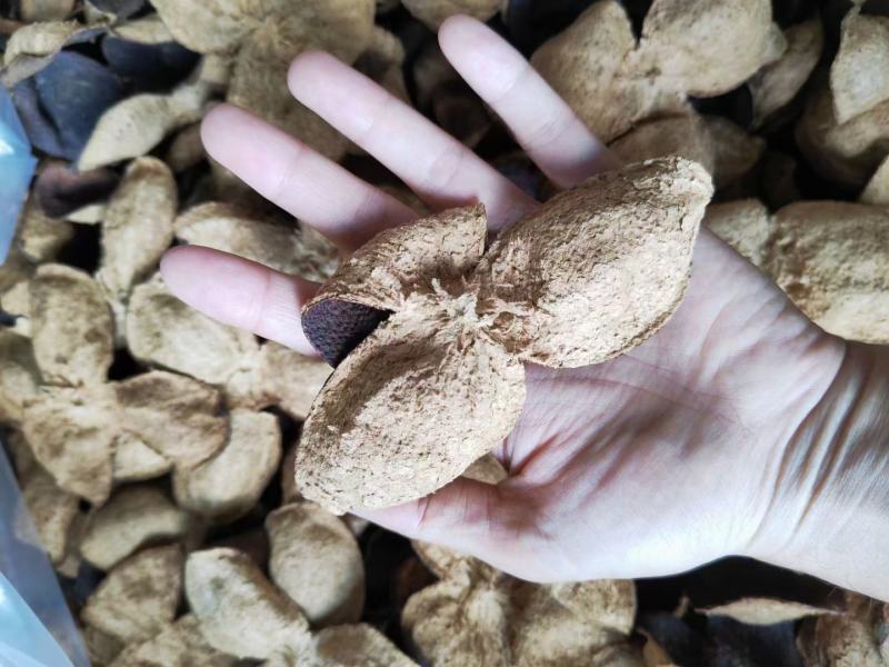 新会陈皮陈皮干茶叶批发广陈皮天马老陈皮茶叶礼盒