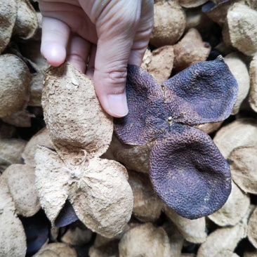 新会陈皮陈皮干茶叶批发广陈皮天马老陈皮茶叶礼盒