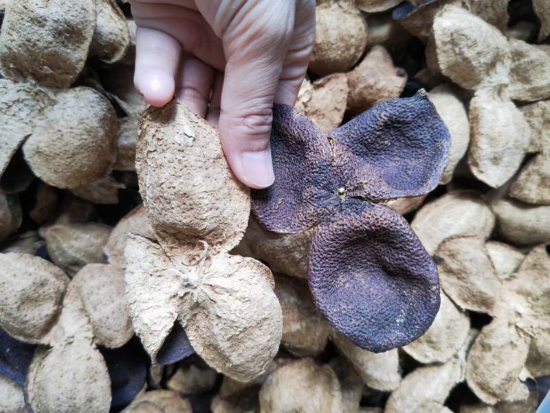 新会陈皮陈皮干茶叶批发广陈皮天马老陈皮茶叶礼盒