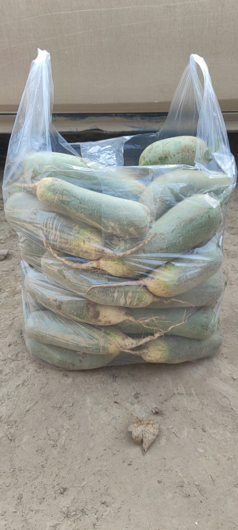 萝卜青萝卜，，规格齐全，产地直发，一手货源，整车批发