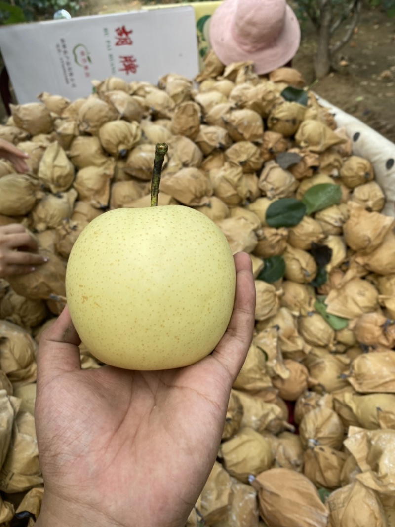 粉碎梨渣适合各种养殖成本低质量好需要的可以联系我