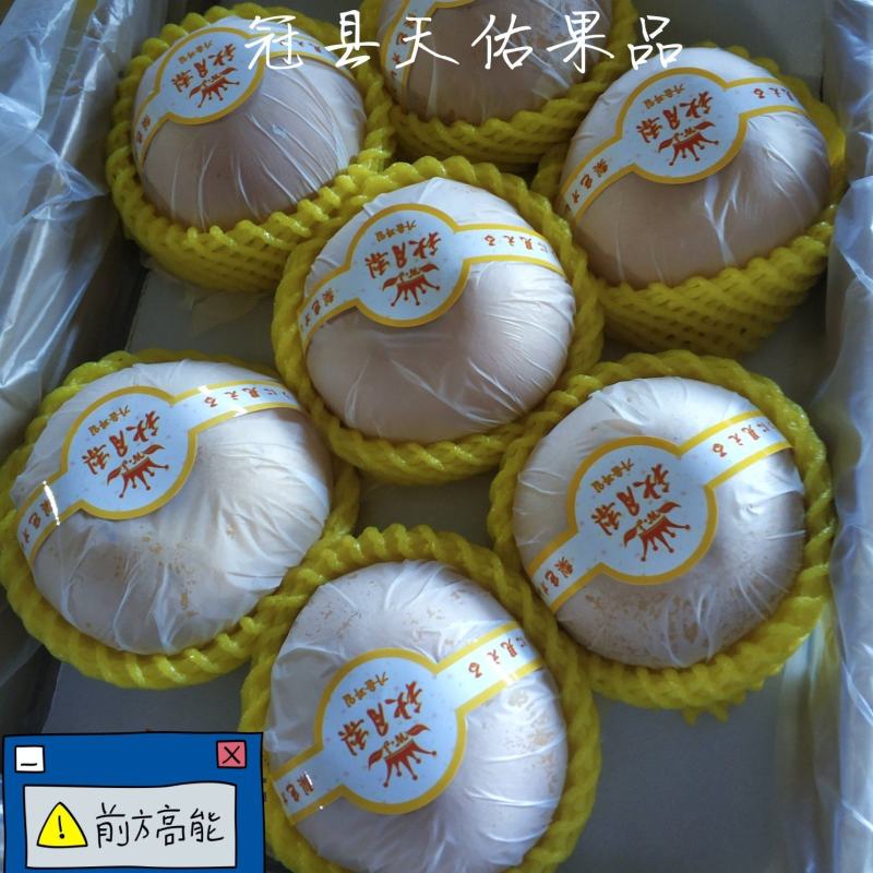 （精品)冠县秋月梨，可视频看货，一件代发，品质保证