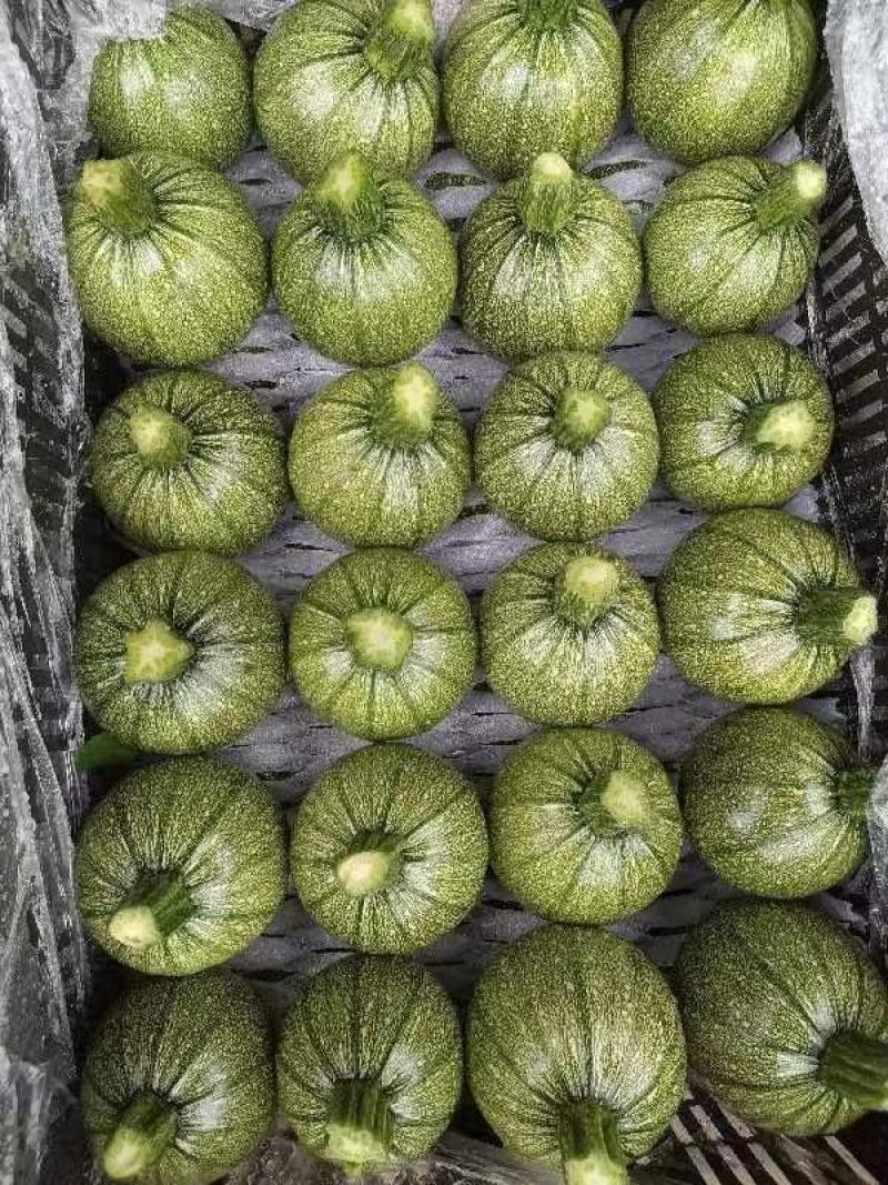 代办