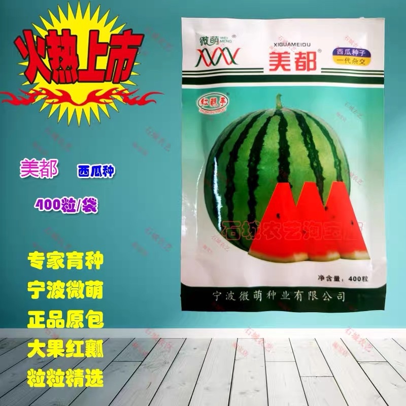 赢春西瓜种子口感好微萌美都美都种子