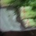 精品毛芹精品毛芹,高原夏菜,质量保证