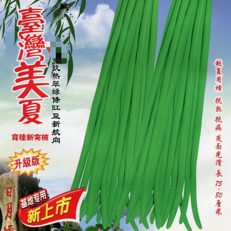 翠绿色豆角种子豇豆种颜色绿无鼠尾不鼓籽