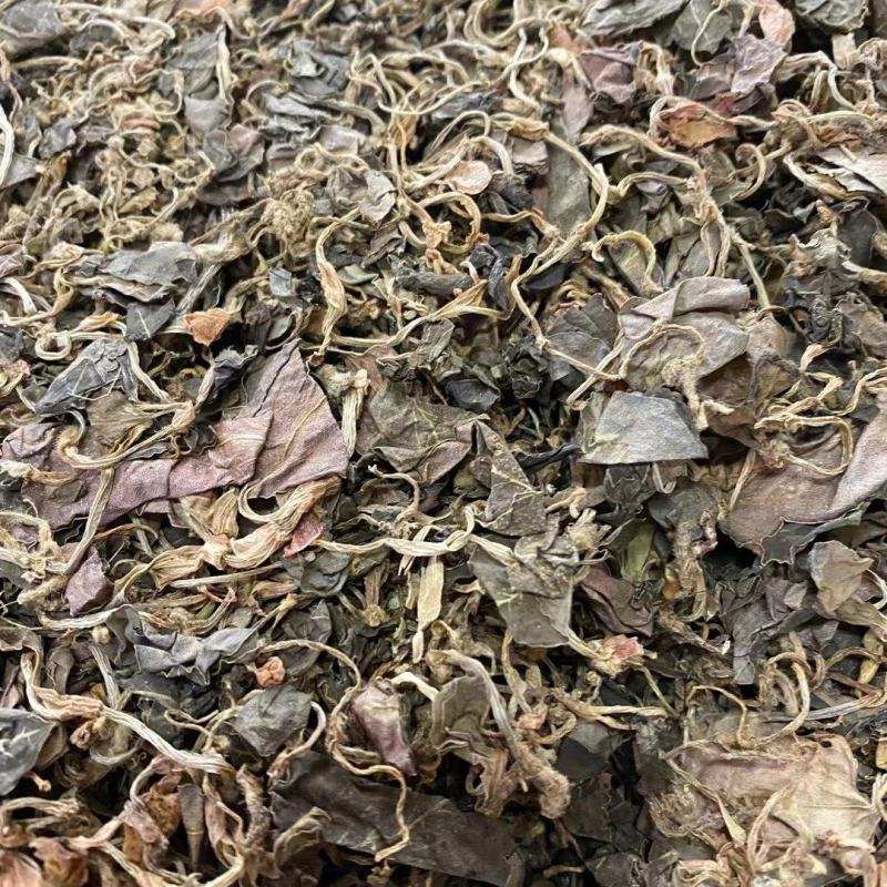 天然金线莲