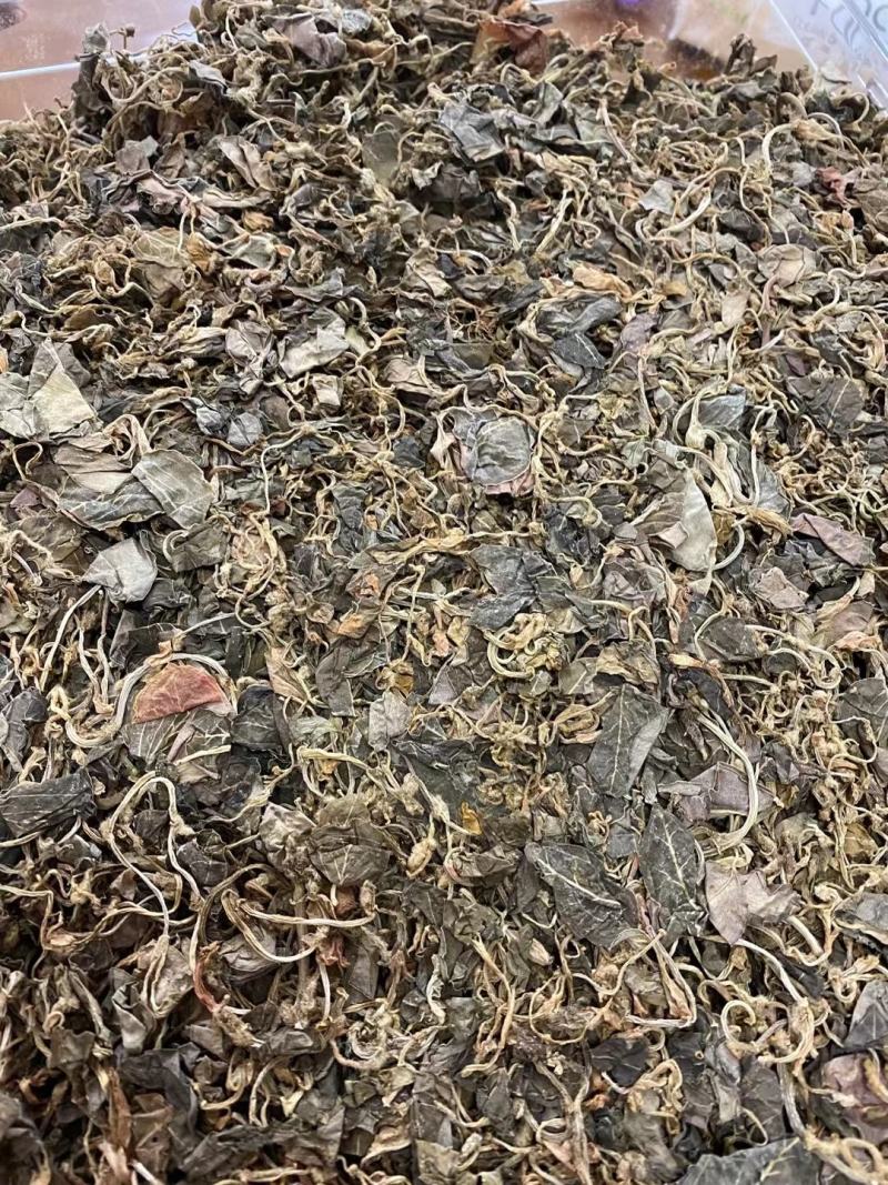 天然金线莲