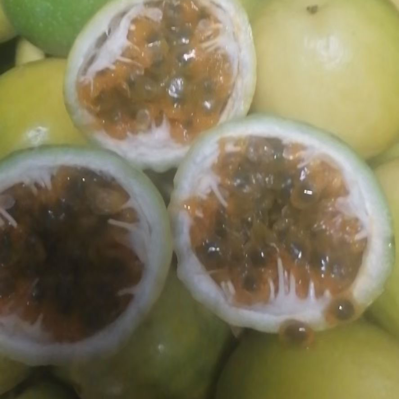 百香果