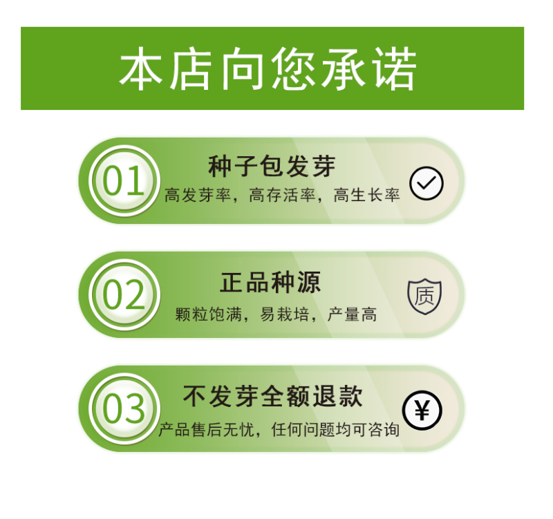 易爆盆四季开花室内阳台阳台盆栽庭院易种