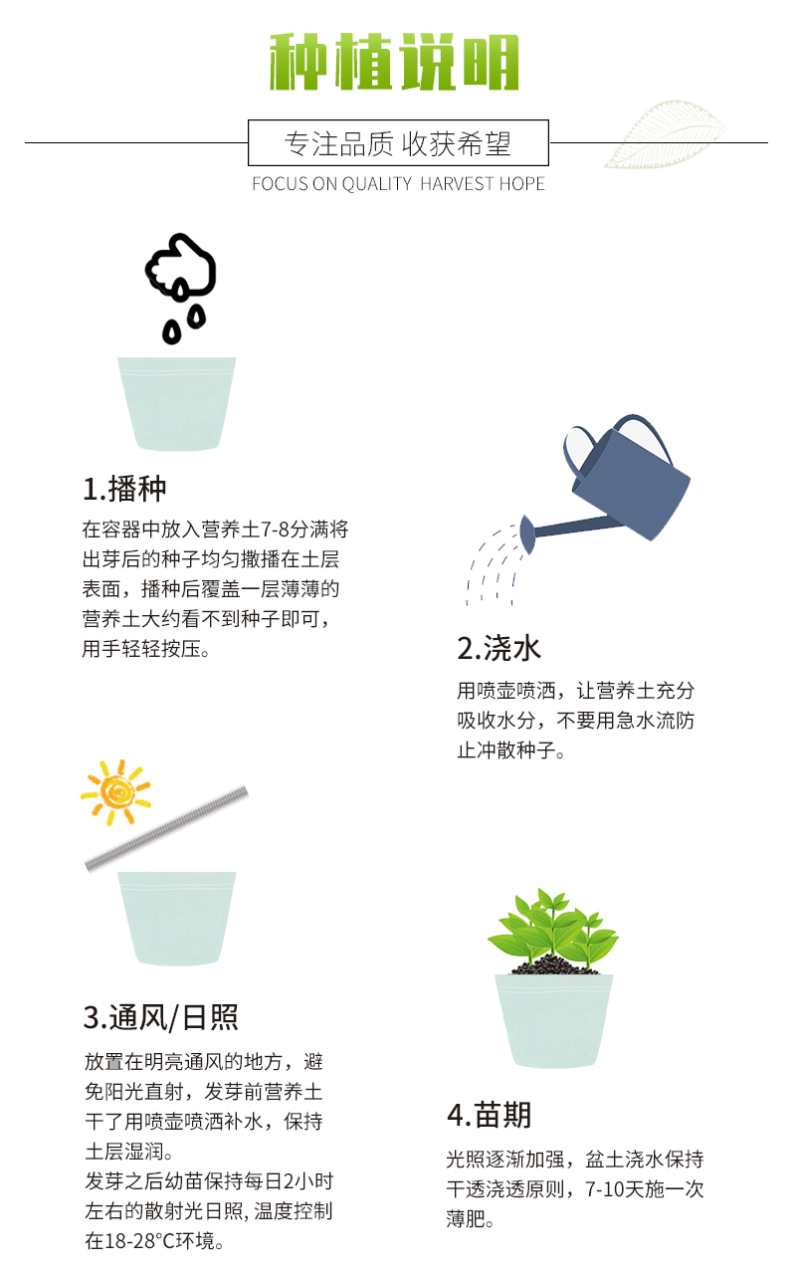 易爆盆四季开花室内阳台阳台盆栽庭院易种