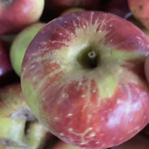 华硕苹果鲁丽苹果有现货次果2吨左右。果锈大少许斑点