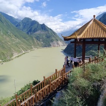 仙人掌片
