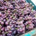 各种葡萄大量上市欢迎新老客户前来选购，支持线上