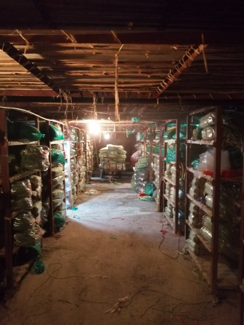 河南濮阳冷库保鲜蒜苔真一手货源量大从优欢迎咨询