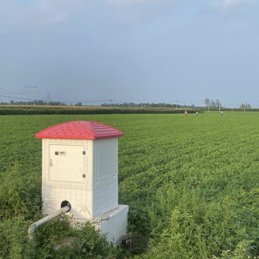 国家建设高标准农田。水浇地，寻求经济作物订单种植合同。