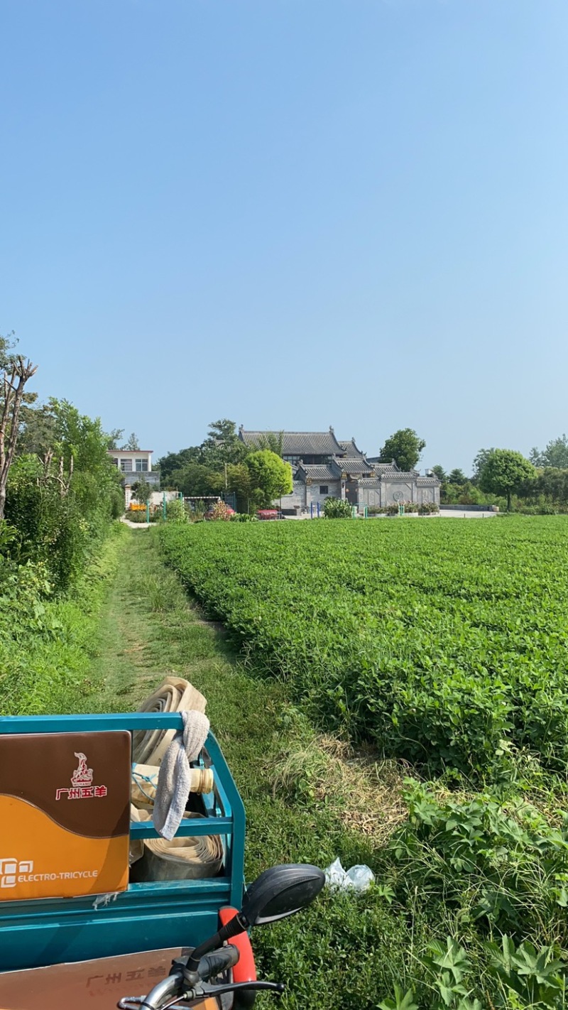国家建设高标准农田。水浇地，寻求经济作物订单种植合同。