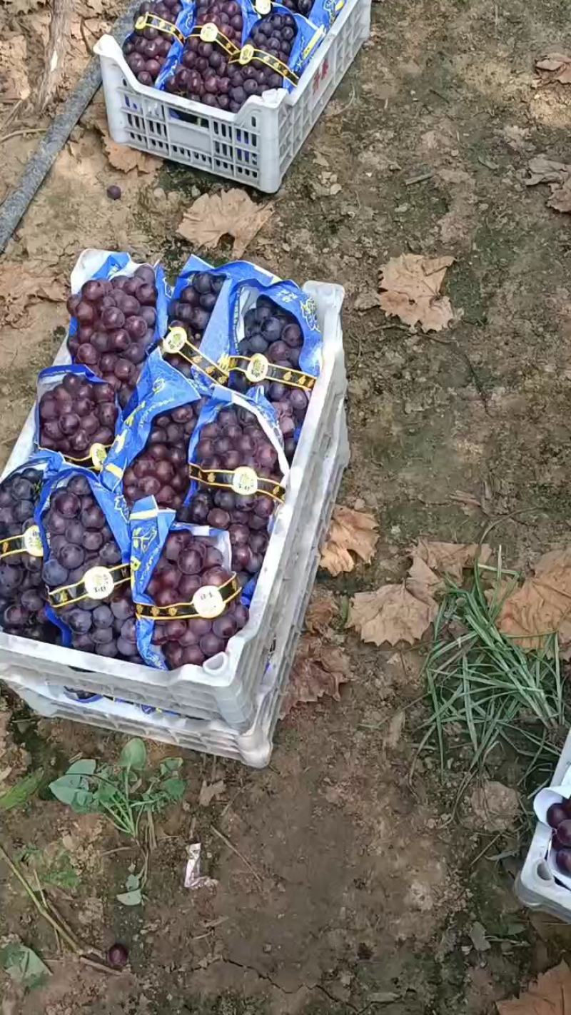 有实力就找我