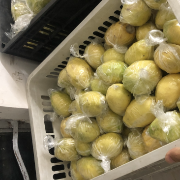 广东香水工厂用，可榨汁，可切片，可提炼精油