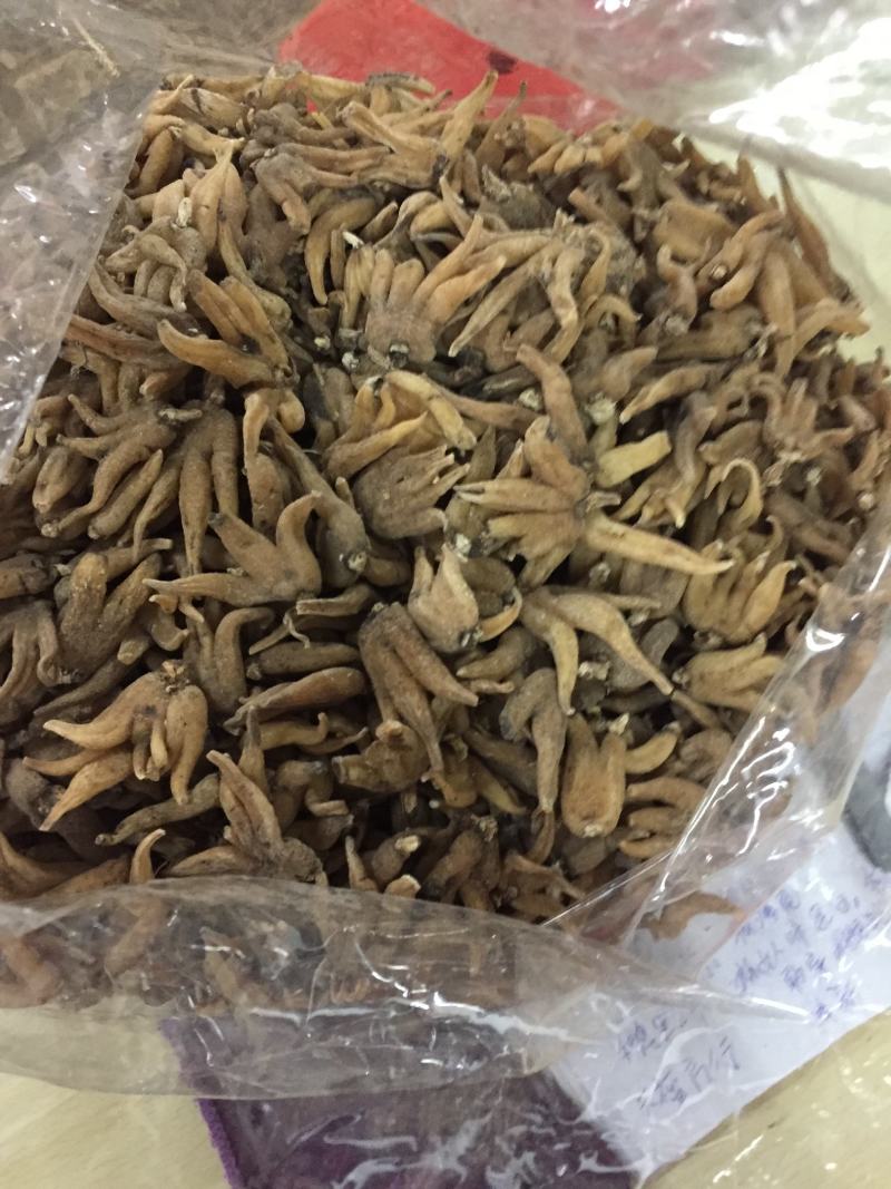 西藏野生佛手参手掌参新货500克一包，500克包邮