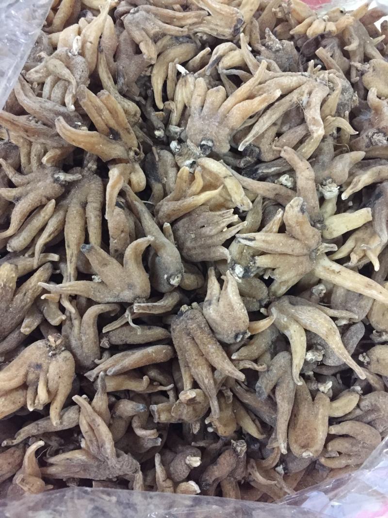 西藏野生佛手参手掌参新货500克一包，500克包邮