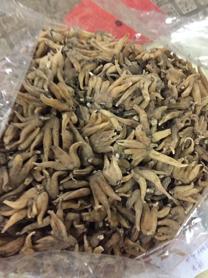 西藏野生佛手参手掌参新货500克一包，500克包邮
