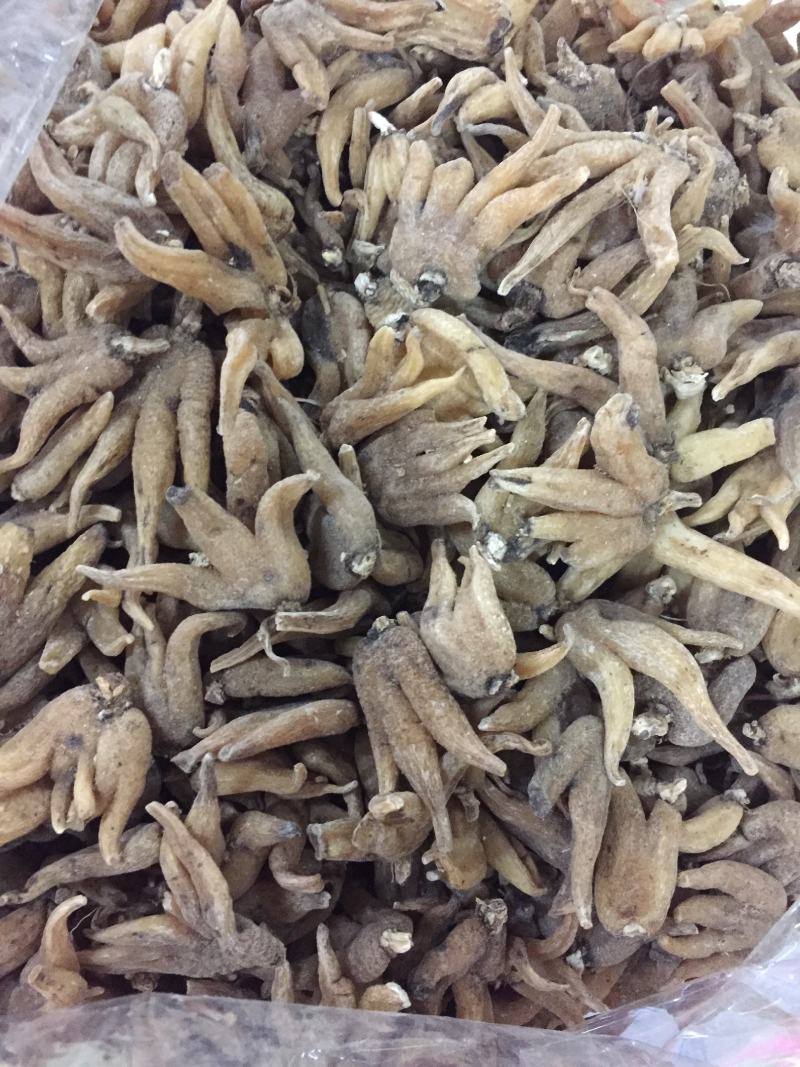 西藏野生佛手参手掌参新货500克一包，500克包邮