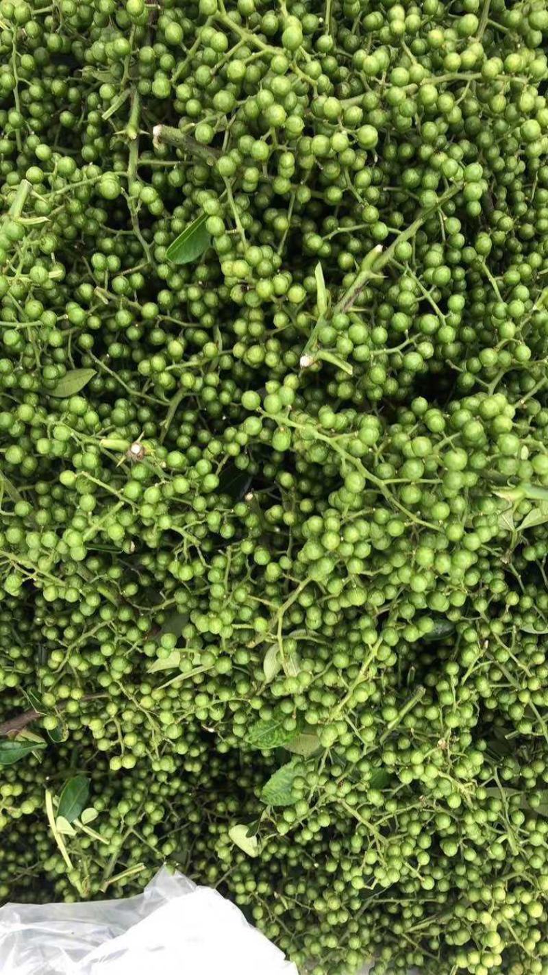 大量供应优质鲜青花椒，九叶青花椒，藤椒5月份开始上市