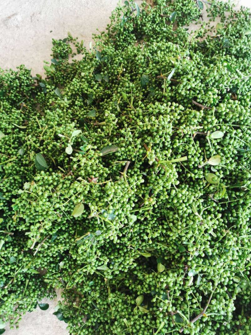 大量供应优质鲜青花椒，九叶青花椒，藤椒5月份开始上市