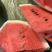 夏天就要吃西瓜🔥🍉🍉