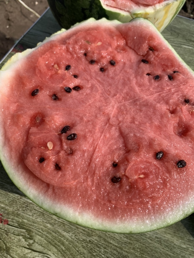 夏天就要吃西瓜🔥🍉🍉