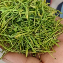 湖南金银花青茶五彩花现货供应库存充足大货批发