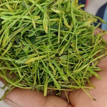 湖南金银花青茶五彩花现货供应库存充足大货批发